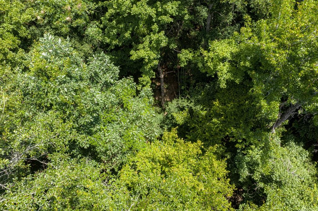 0 County Road 3154 - Photo 5