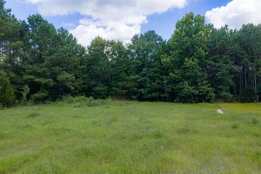 0 County Road 3154 - Photo 8
