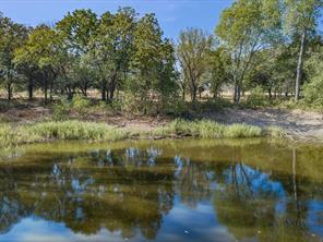 7832 US Highway 287 - Photo 36