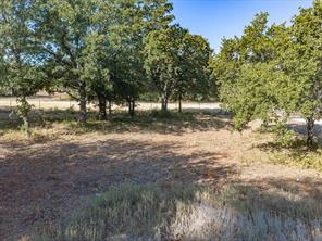 7832 US Highway 287 - Photo 38