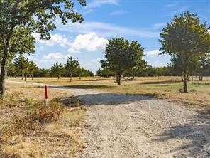 7832 US Highway 287 - Photo 5