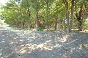 43 County Road 42351 - Photo 3
