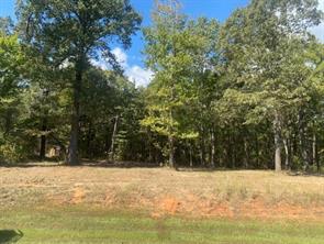 LOT 7R-1 N Private Road 52416 Road - Photo 2