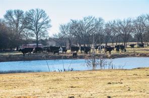 446 Fm 274 - Photo 16