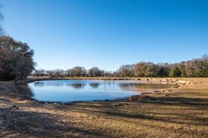 446 Fm 274 - Photo 17