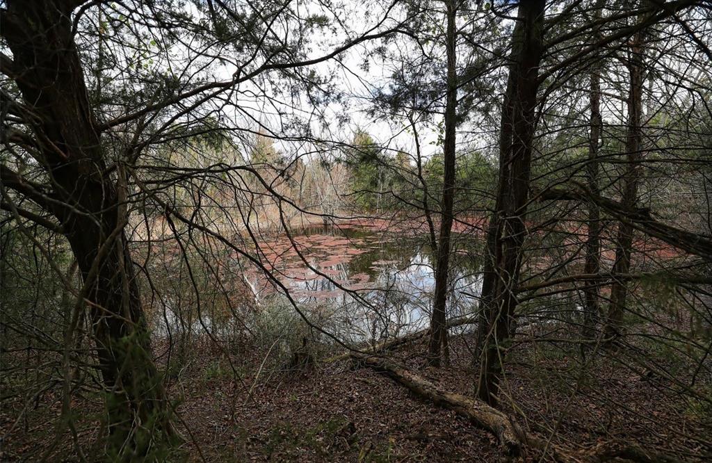 291 VZ County Road 3847 - Photo 2