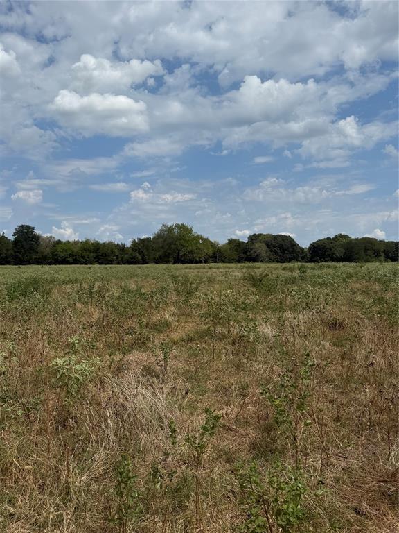 291 VZ County Road 3847 - Photo 4