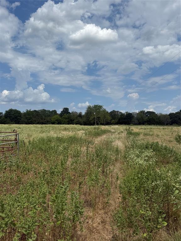 291 VZ County Road 3847 - Photo 5