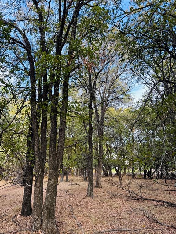 7103 Cedar Valley Drive - Photo 1