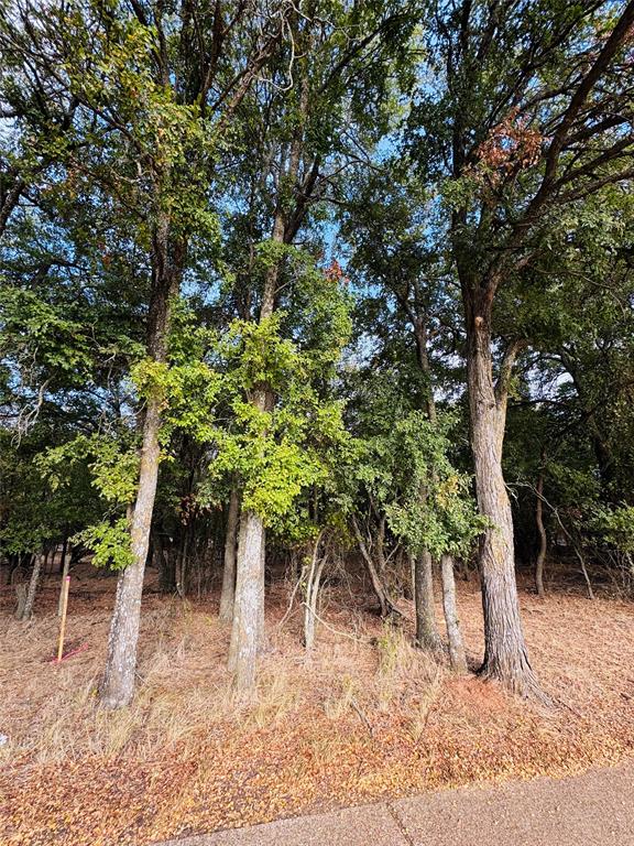 7103 Cedar Valley Drive - Photo 2