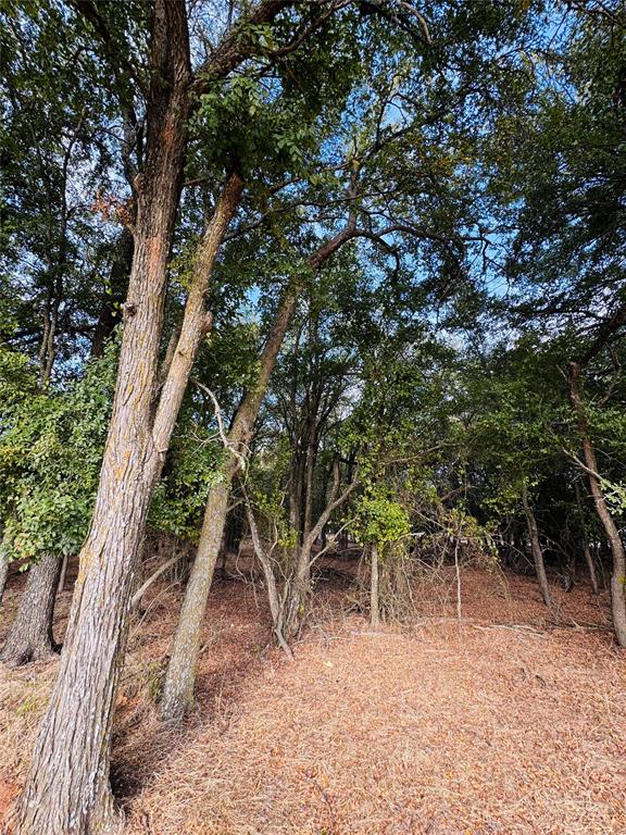 7103 Cedar Valley Drive - Photo 3