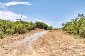 TBD County Road 306 - Photo 14