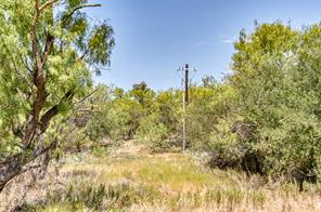 TBD County Road 306 - Photo 16