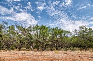 TBD County Road 306 - Photo 2