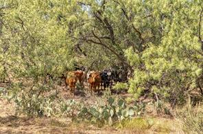 TBD County Road 306 - Photo 20