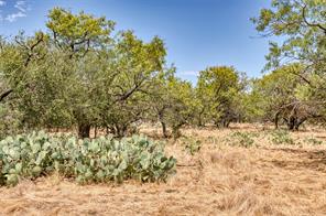 TBD County Road 306 - Photo 26
