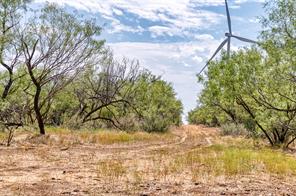 TBD County Road 306 - Photo 34