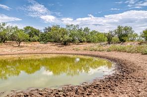 TBD County Road 306 - Photo 4