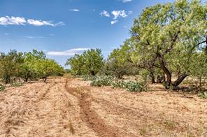 TBD County Road 306 - Photo 5