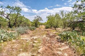 TBD County Road 306 - Photo 6