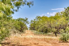 TBD County Road 306 - Photo 7