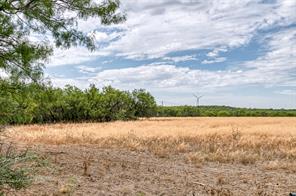 TBD Farm to Market 880 - Photo 33