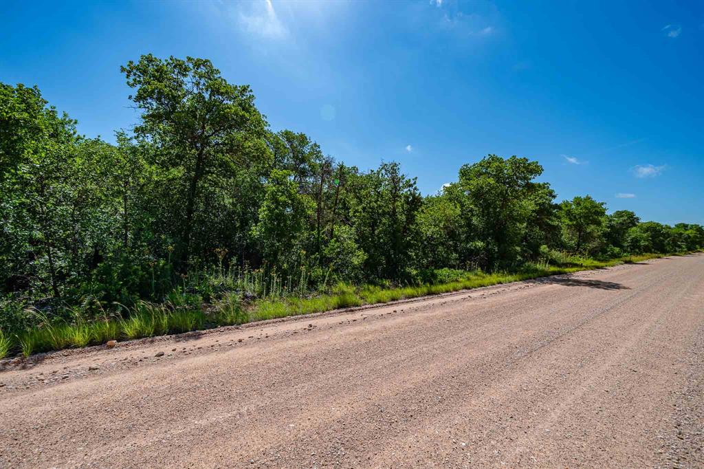 TBD LOT#1 County Road 335 - Photo 1