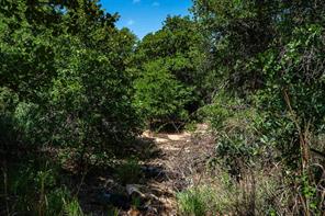TBD LOT#1 County Road 335 - Photo 10