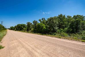 TBD LOT#1 County Road 335 - Photo 11