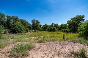 TBD LOT#1 County Road 335 - Photo 5