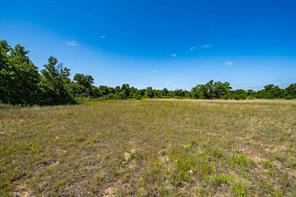 TBD LOT#1 County Road 335 - Photo 6