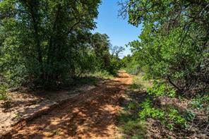 TBD LOT#1 County Road 335 - Photo 7