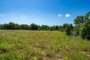 TBD LOT#1 County Road 335 - Photo 8