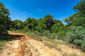 TBD LOT#1 County Road 335 - Photo 9