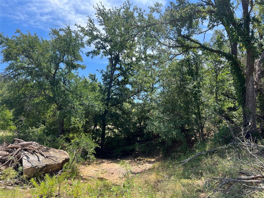 137 COUNTY ROAD 137 - Photo 11
