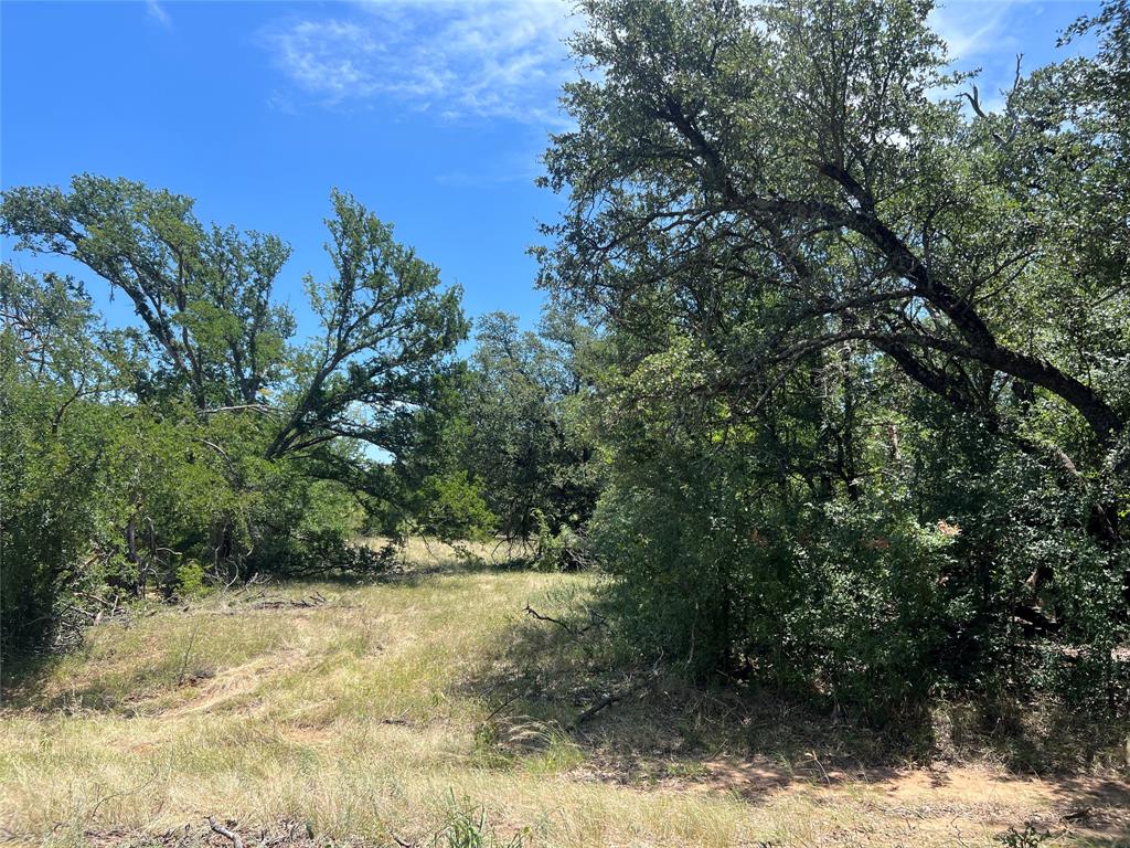 137 COUNTY ROAD 137 - Photo 15
