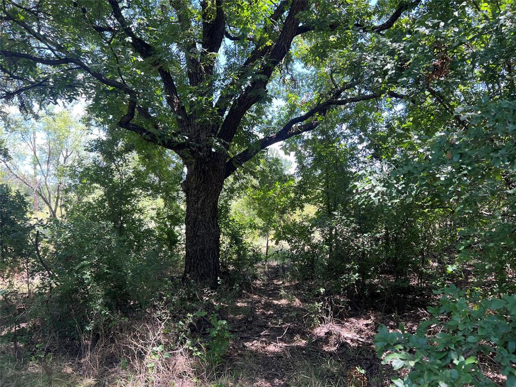 137 COUNTY ROAD 137 - Photo 16