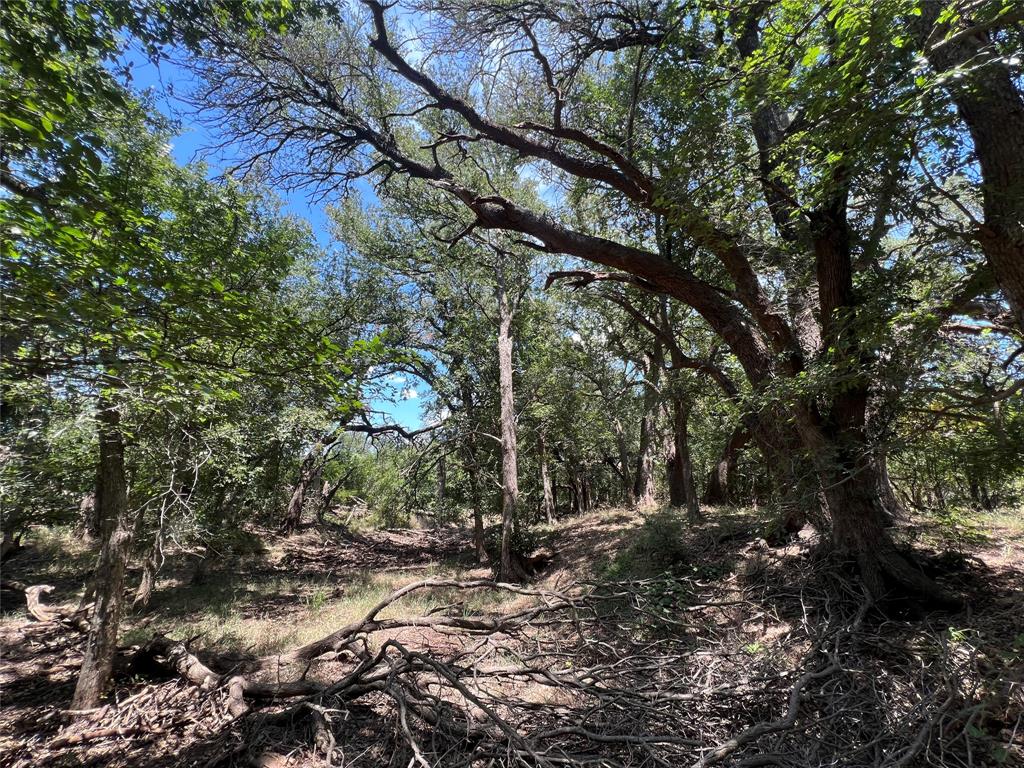 137 COUNTY ROAD 137 - Photo 2