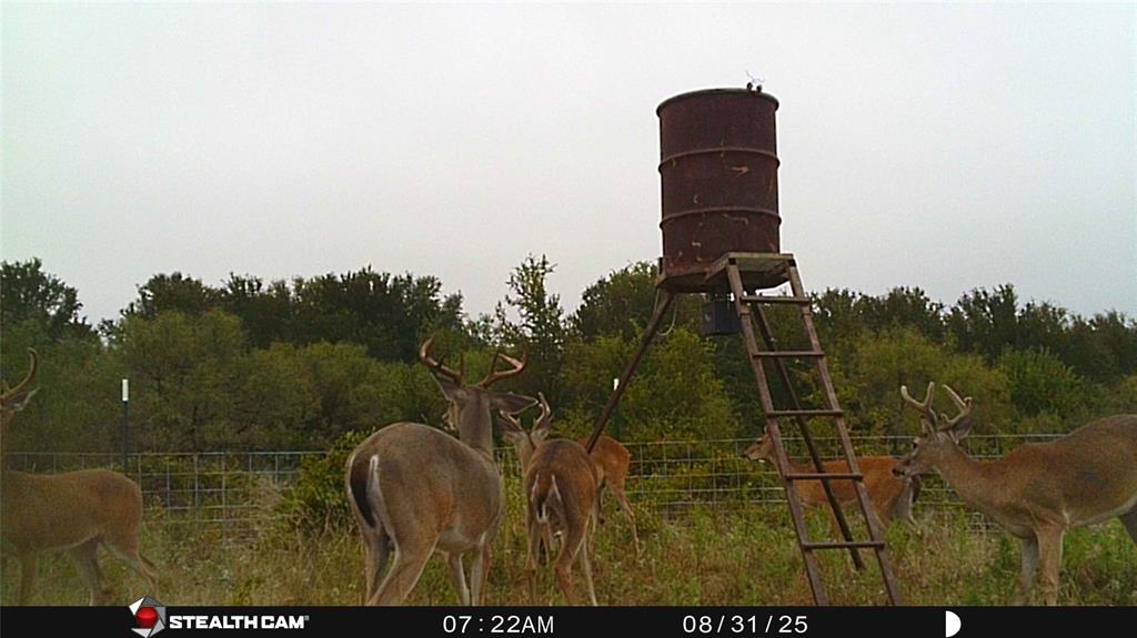 137 COUNTY ROAD 137 - Photo 26