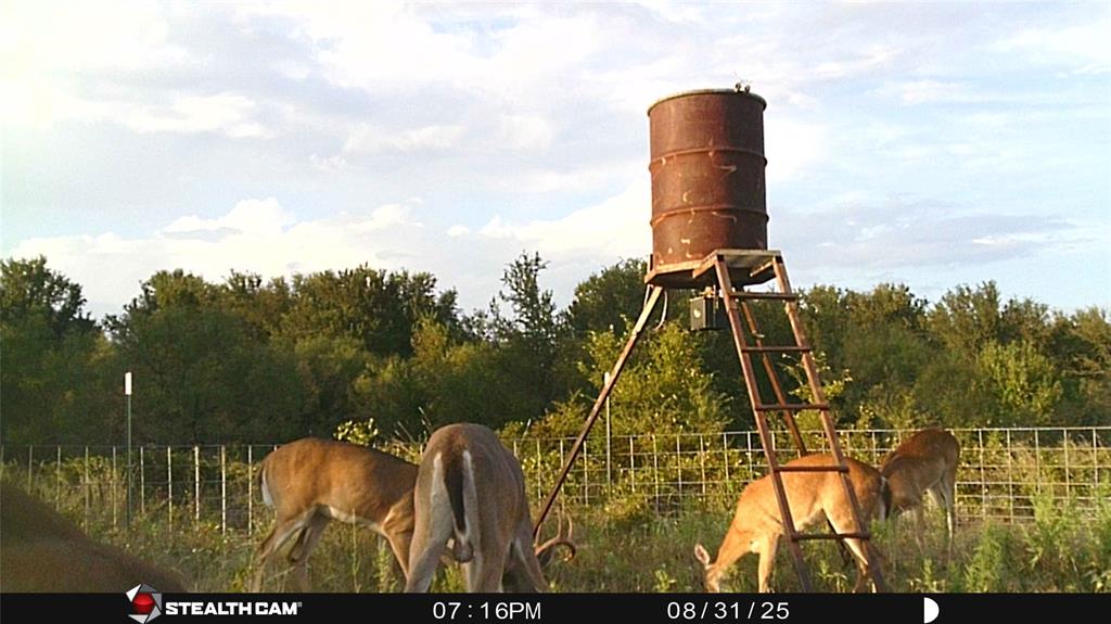 137 COUNTY ROAD 137 - Photo 27