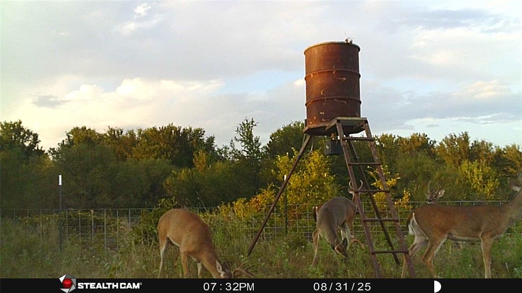 137 COUNTY ROAD 137 - Photo 28