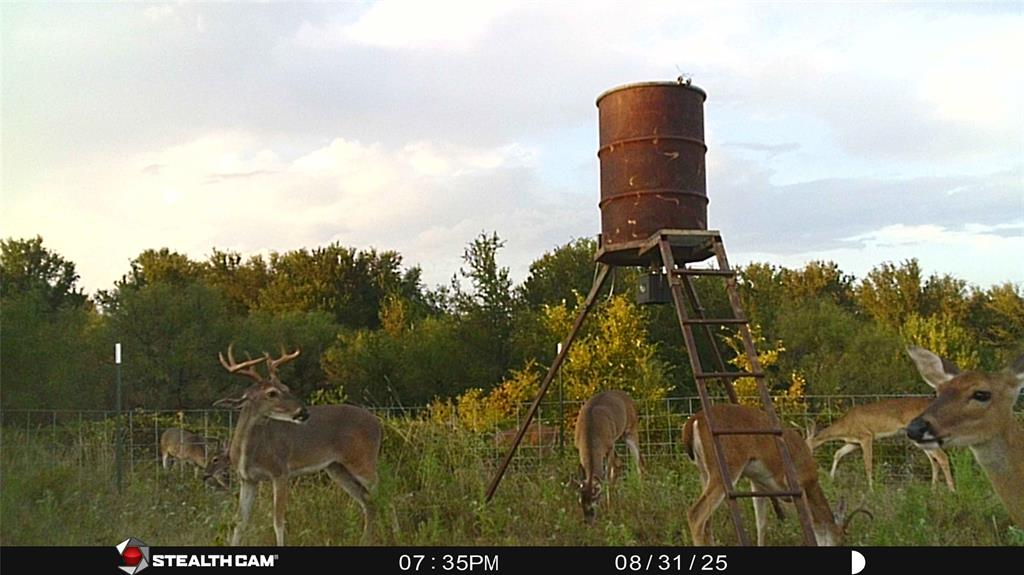 137 COUNTY ROAD 137 - Photo 29
