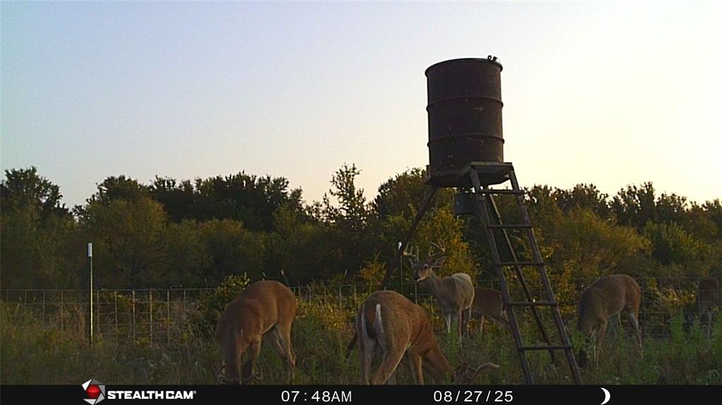 137 COUNTY ROAD 137 - Photo 30