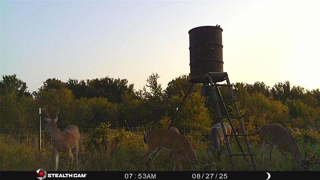 137 COUNTY ROAD 137 - Photo 31