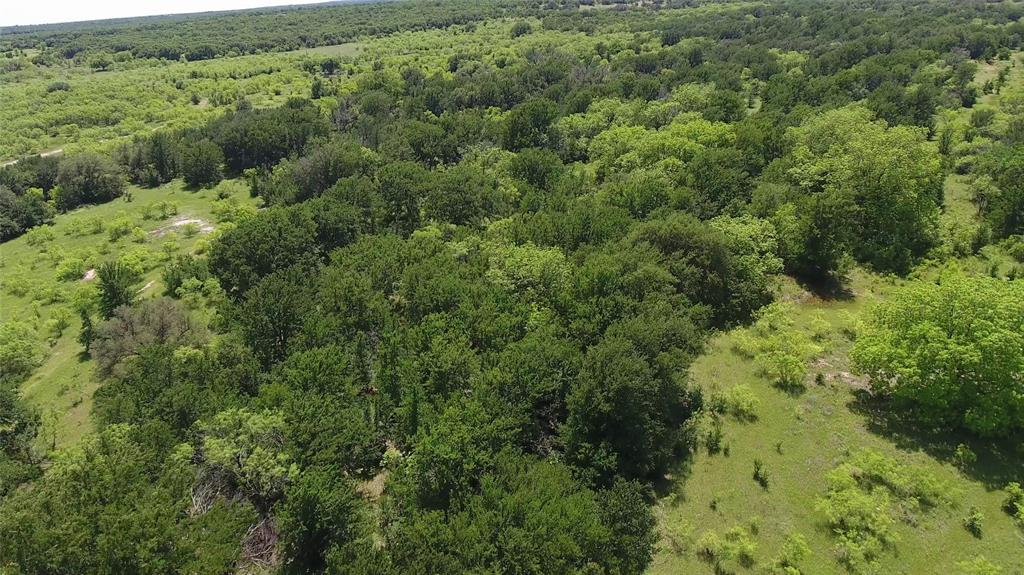 137 COUNTY ROAD 137 - Photo 4