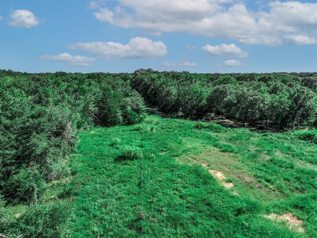 TBD County Road 1909 - Photo 13