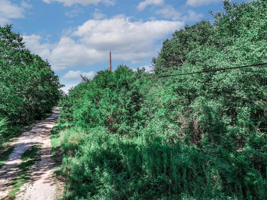 TBD County Road 1909 - Photo 18