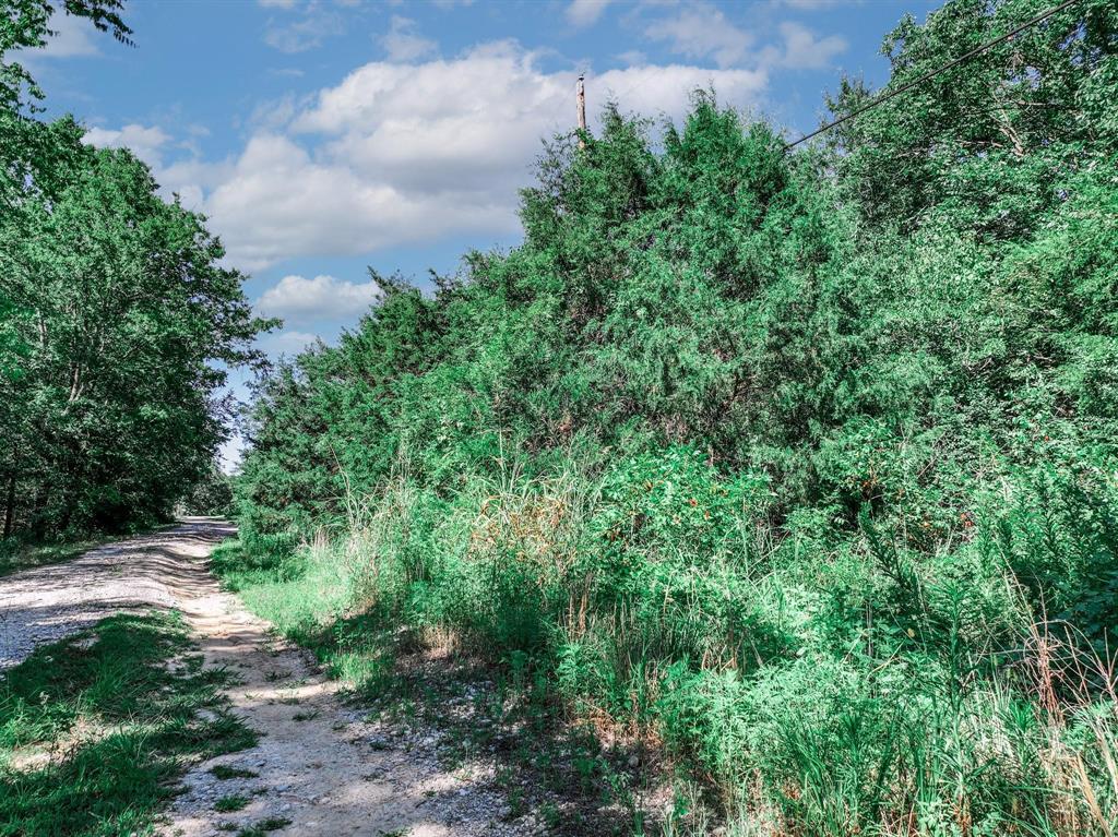 TBD County Road 1909 - Photo 19