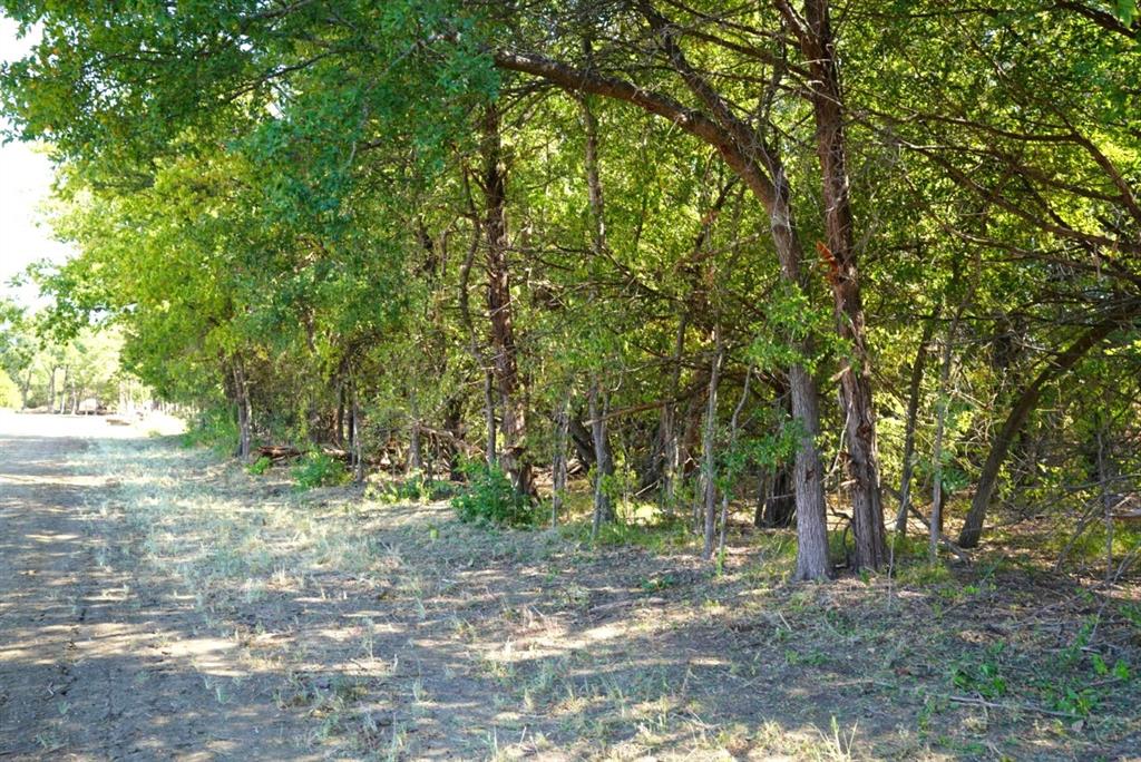 55 County Road 42351 - Photo 3