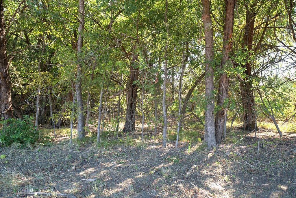 55 County Road 42351 - Photo 4